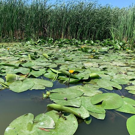 Gorgova Delta Village Zewnętrze zdjęcie