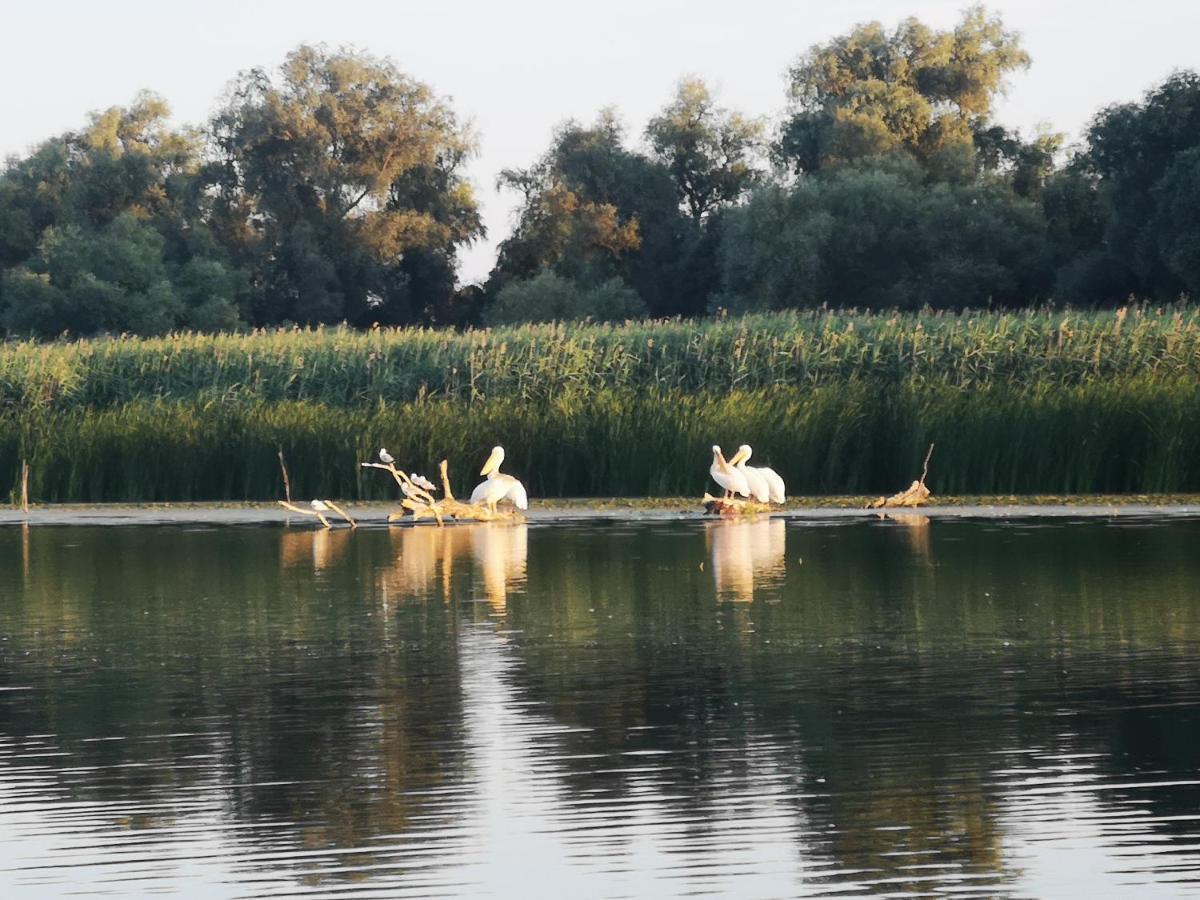 Gorgova Delta Village Zewnętrze zdjęcie