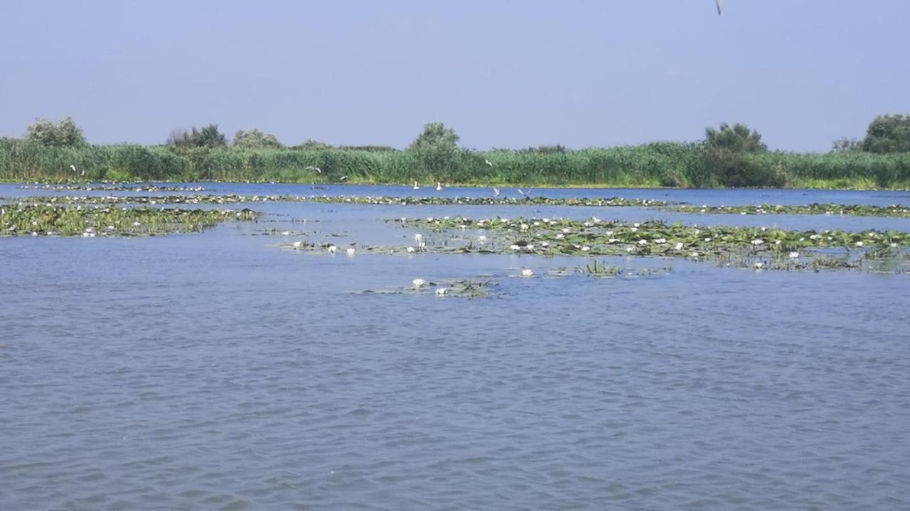 Gorgova Delta Village Zewnętrze zdjęcie
