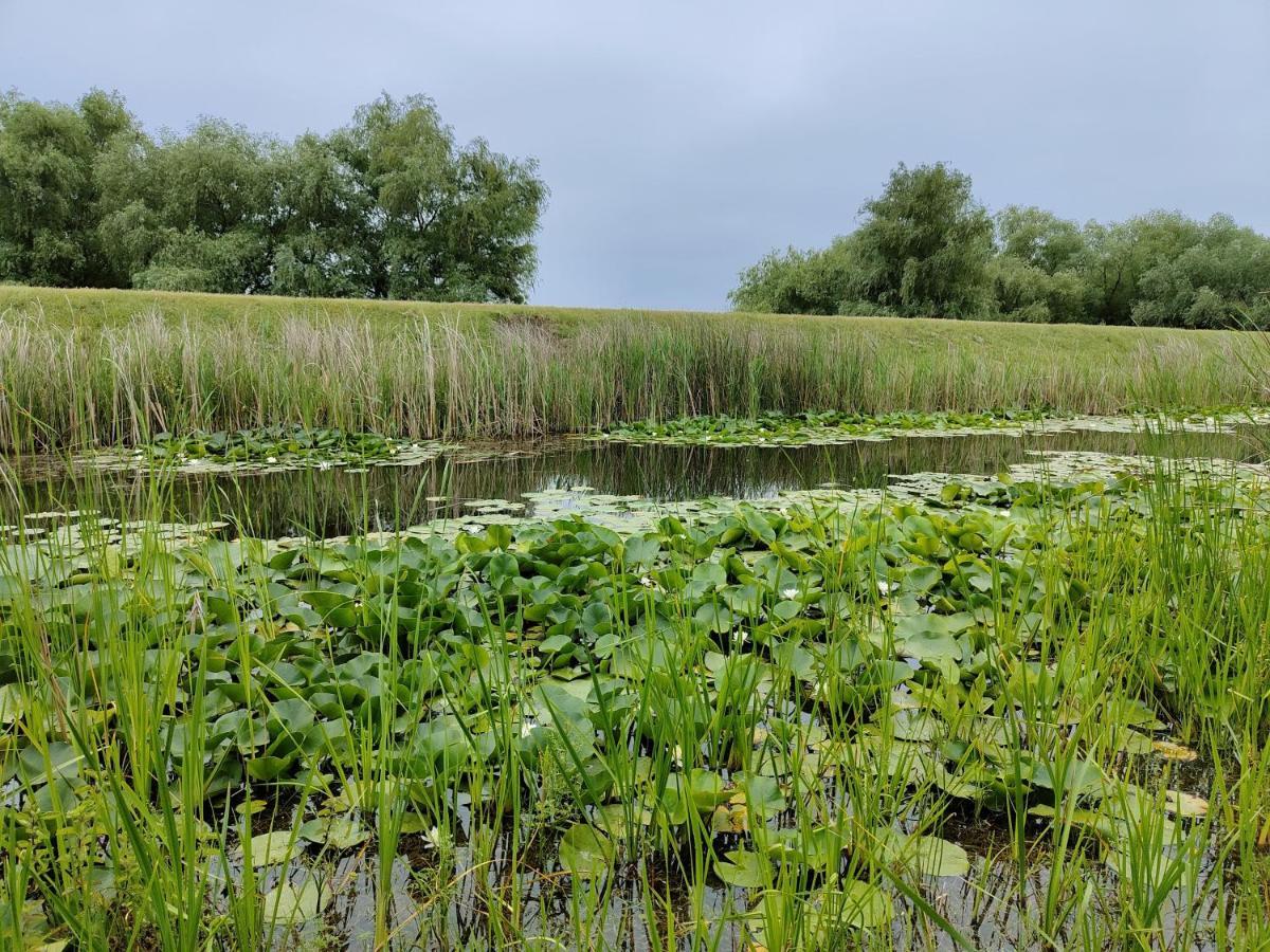 Gorgova Delta Village Zewnętrze zdjęcie