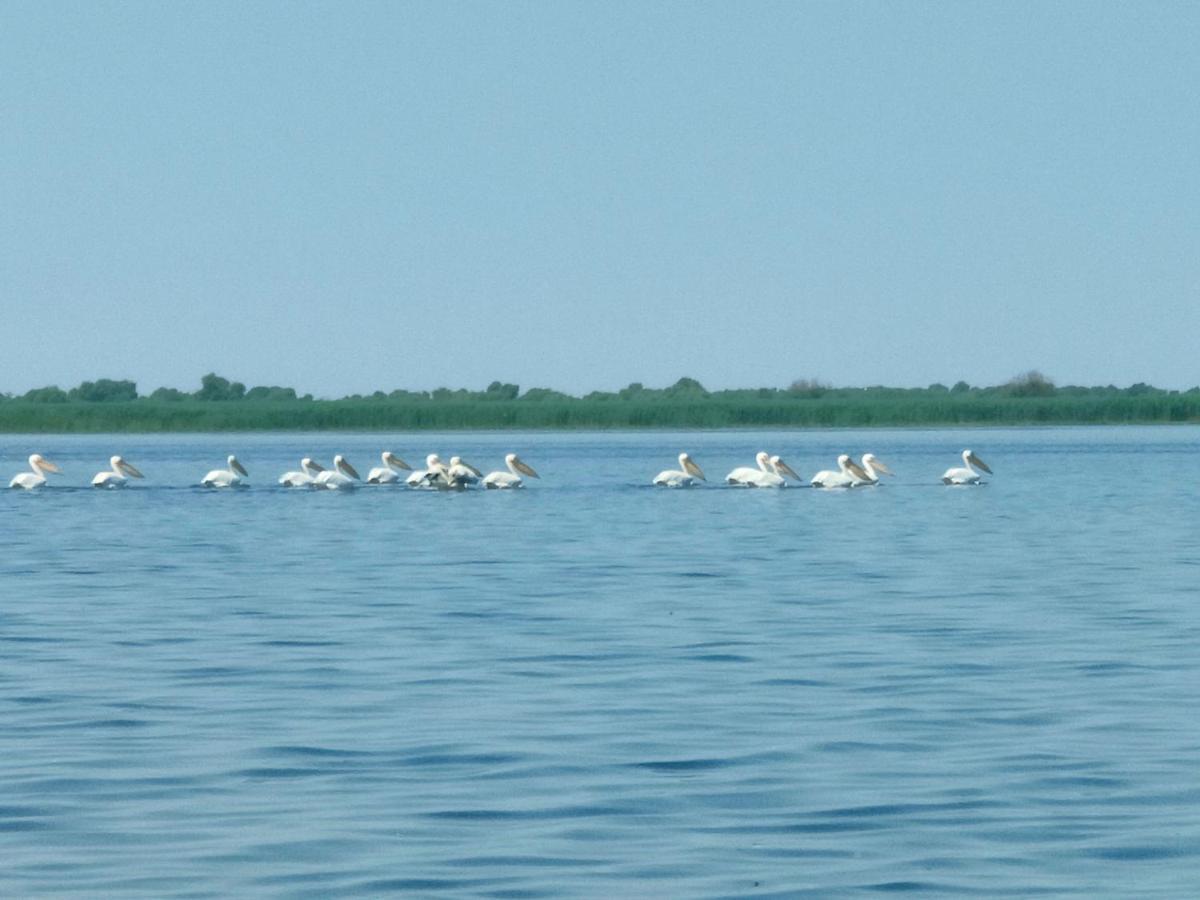 Gorgova Delta Village Zewnętrze zdjęcie