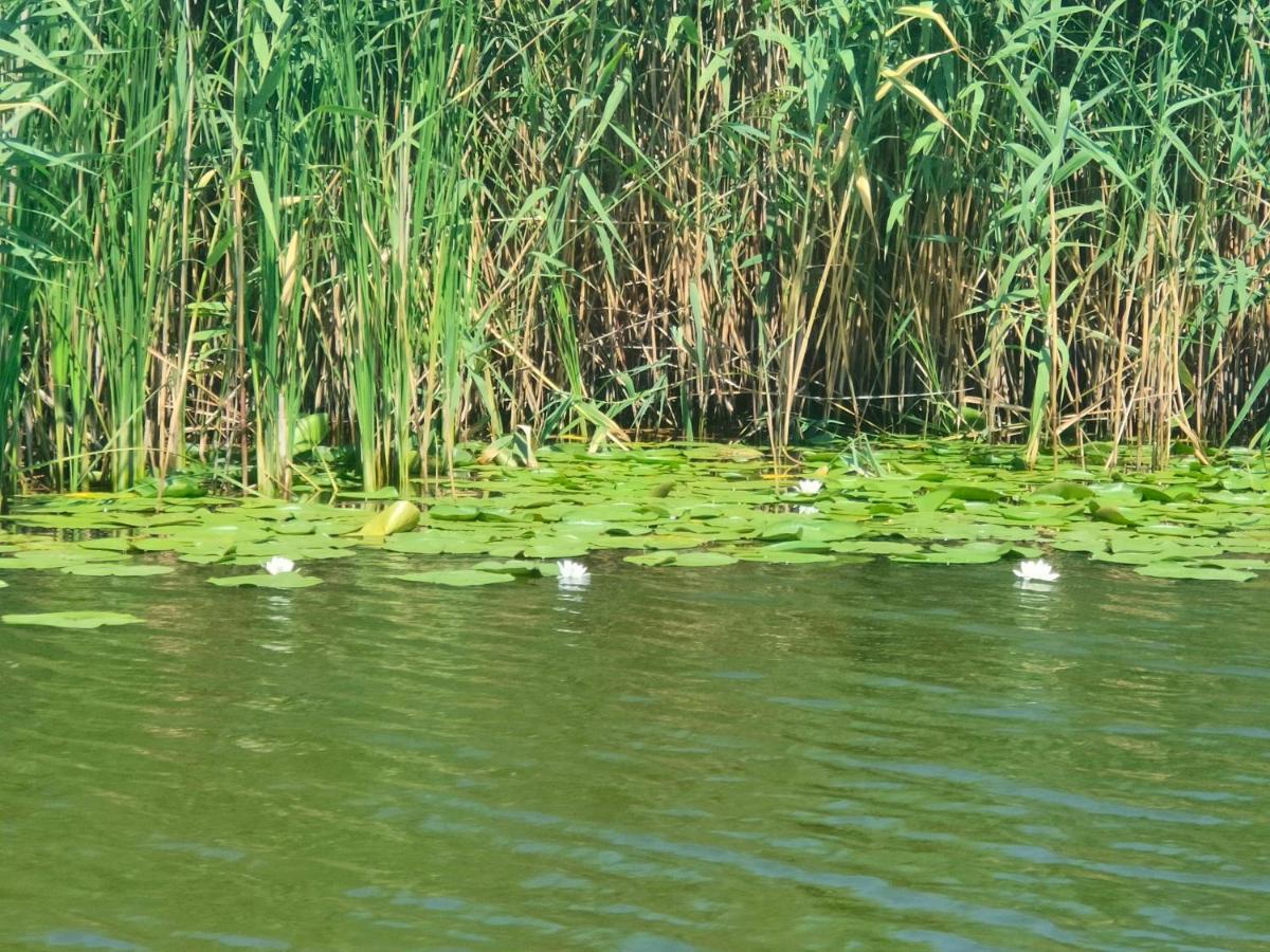 Gorgova Delta Village Zewnętrze zdjęcie