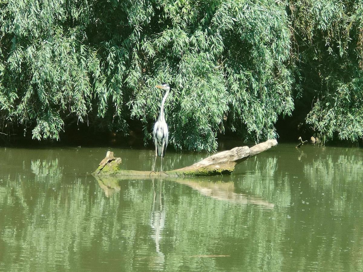 Gorgova Delta Village Zewnętrze zdjęcie