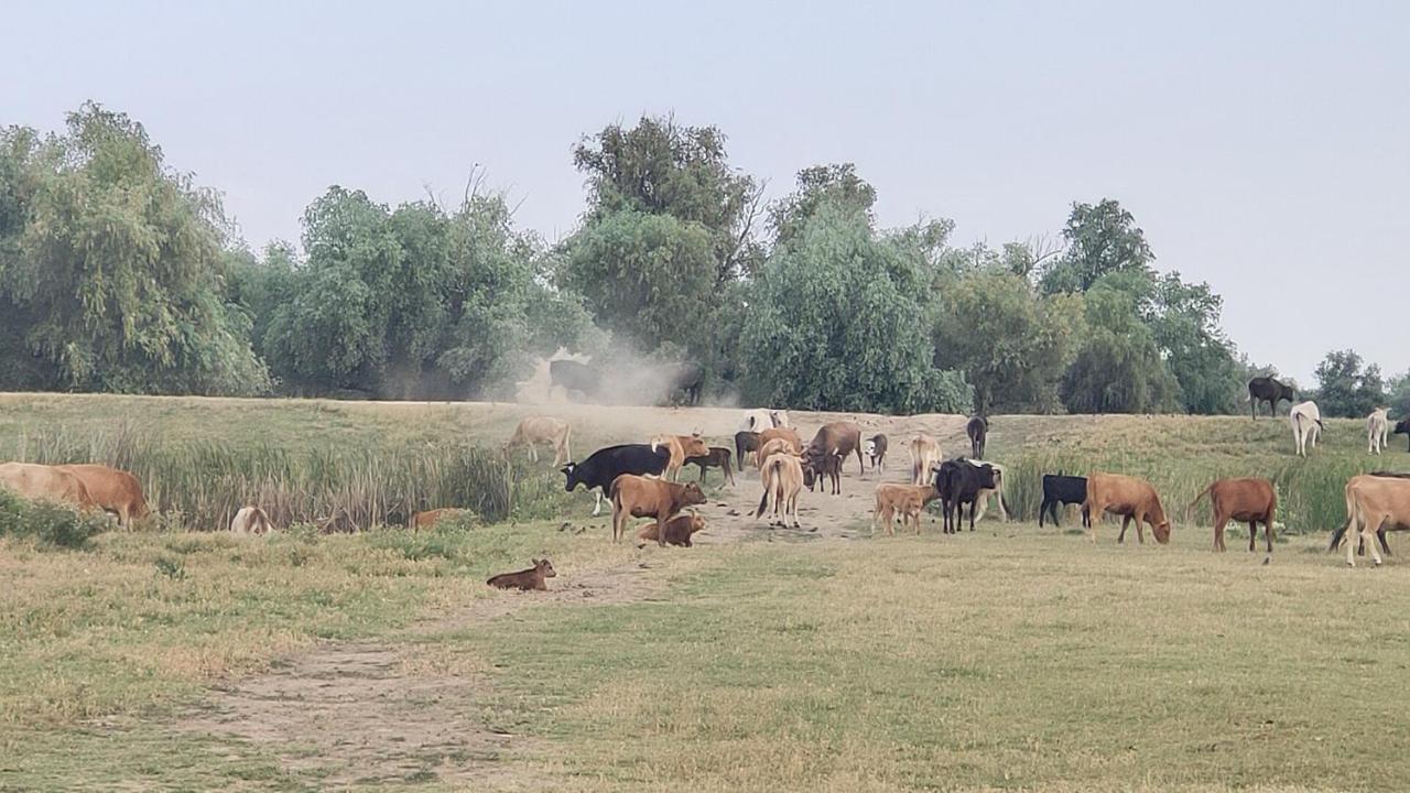 Gorgova Delta Village Zewnętrze zdjęcie