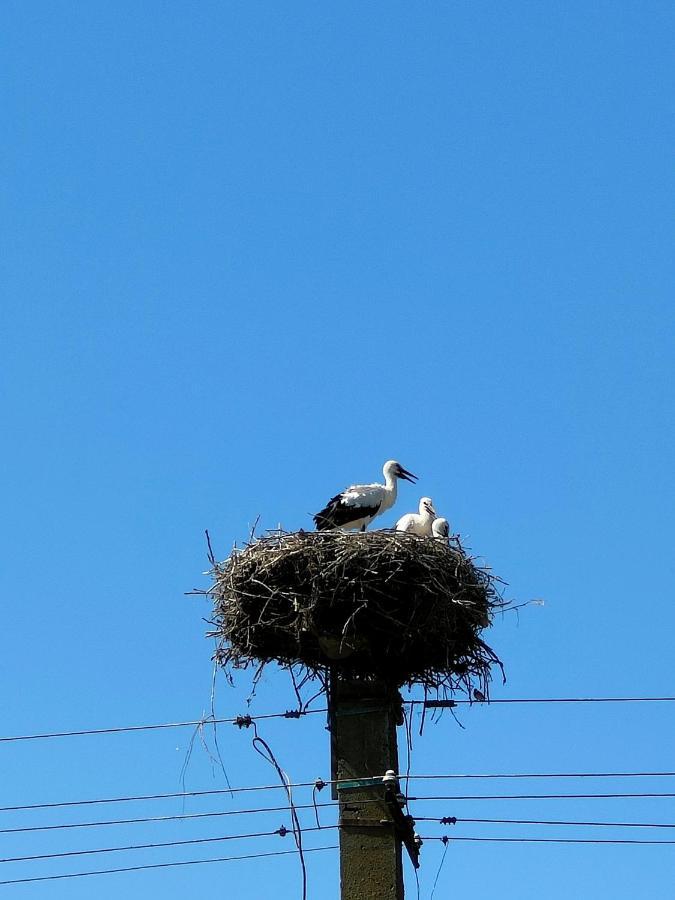 Gorgova Delta Village Zewnętrze zdjęcie