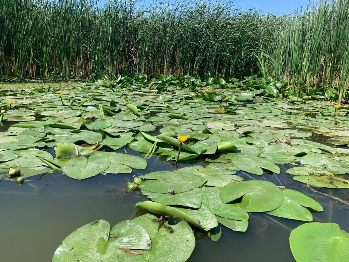 Gorgova Delta Village Zewnętrze zdjęcie